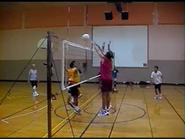 Volleyball in 2001