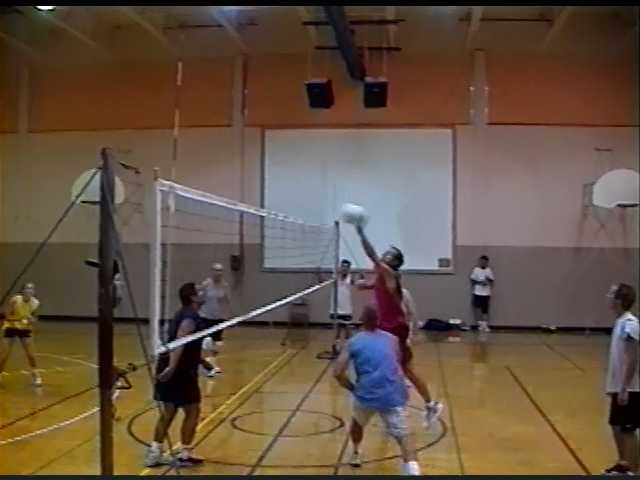 Volleyball in 2001