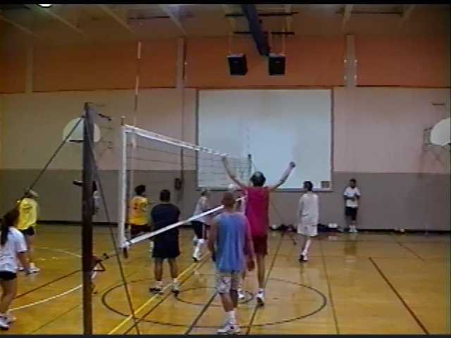 Volleyball in 2001