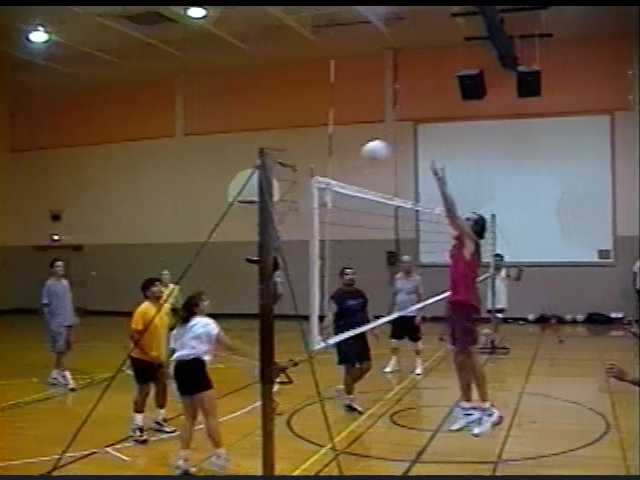 Volleyball in 2001