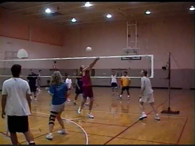 Volleyball in 2001