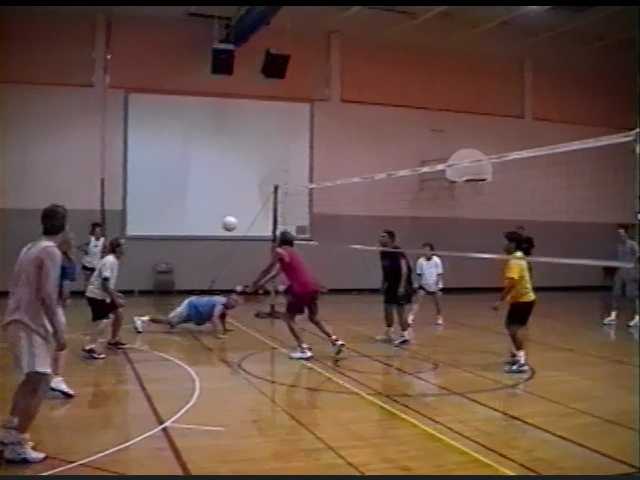 Volleyball in 2001