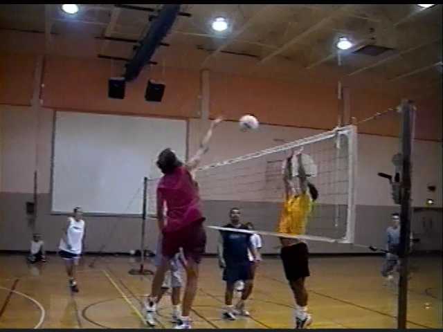 Volleyball in 2001