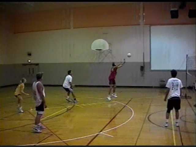 Volleyball in 2001
