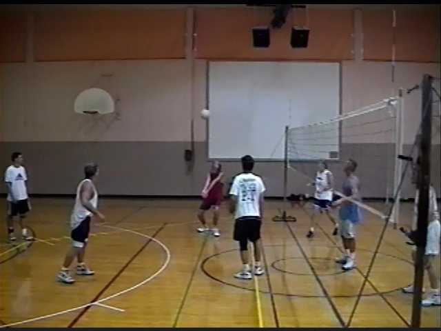 Volleyball in 2001