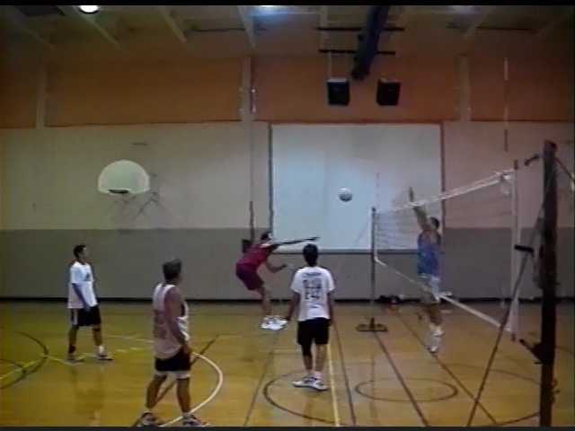 Volleyball in 2001