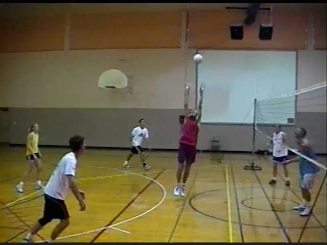 Volleyball in 2001