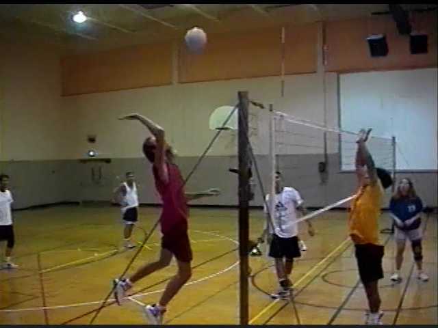 Volleyball in 2001